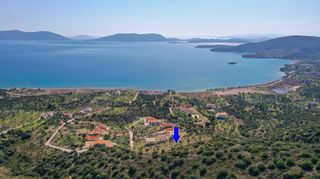 Αγροτεμάχια 5.228 τ.μ. για πώληση, Αργολίδα, Ερμιόνη-thumb-3