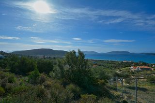 Αγροτεμάχια 5.228 τ.μ. για πώληση, Αργολίδα, Ερμιόνη-thumb-13