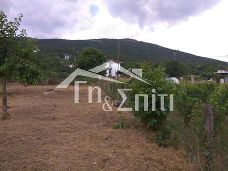 Land plot 1.365sqm for sale-Mpizanio » Kosmira