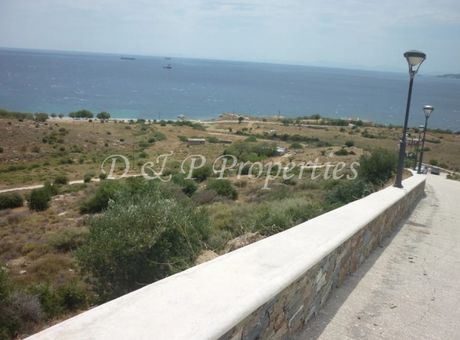 Αγροτεμάχια 10.000 τ.μ. για πώληση
