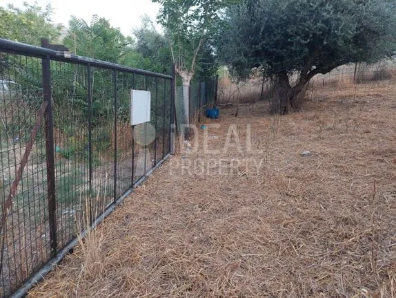 Parcel 4.426 sqm for sale, Achaia, Messatida