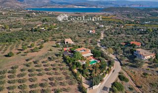 Βίλλα 342 τ.μ. για πώληση, Αργολίδα, Ερμιόνη-thumb-22