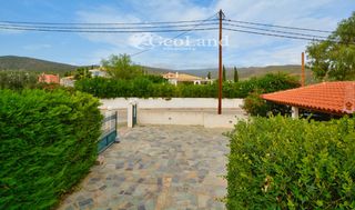 Βίλλα 300 τ.μ. για πώληση, Αργολίδα, Ερμιόνη-thumb-19