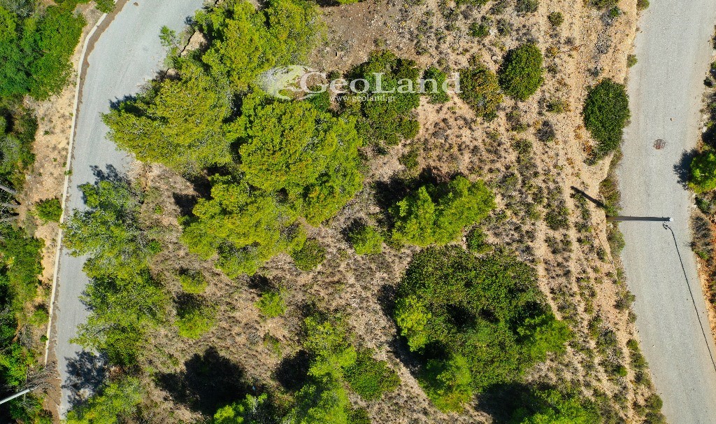 Οικόπεδο 407 τ.μ. πρός πώληση, Αργολίδα, Κρανίδι