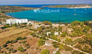 Οικόπεδο 10.000 τ.μ. προς πώληση, Πορτοχέλι-thumb-8