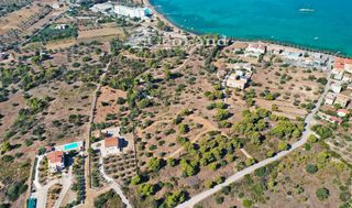 Οικόπεδο 10.000 τ.μ. προς πώληση, Πορτοχέλι-thumb-19