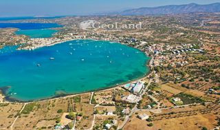 Οικόπεδο 10.000 τ.μ. προς πώληση, Πορτοχέλι-thumb-4