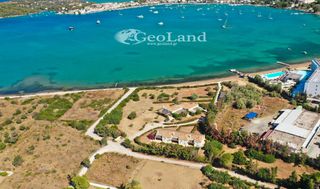 Οικόπεδο 10.000 τ.μ. προς πώληση, Πορτοχέλι-thumb-20