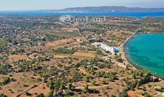 Οικόπεδο 10.000 τ.μ. προς πώληση, Πορτοχέλι-thumb-14