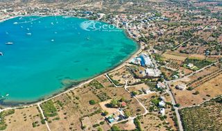 Οικόπεδο 10.000 τ.μ. προς πώληση, Πορτοχέλι-thumb-6