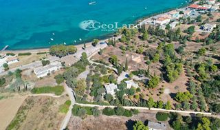 Οικόπεδο 10.000 τ.μ. προς πώληση, Πορτοχέλι-thumb-13