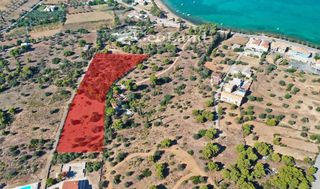Οικόπεδο 10.000 τ.μ. προς πώληση, Πορτοχέλι-thumb-9