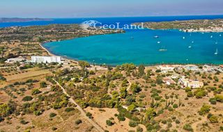 Οικόπεδο 10.000 τ.μ. προς πώληση, Πορτοχέλι-thumb-21