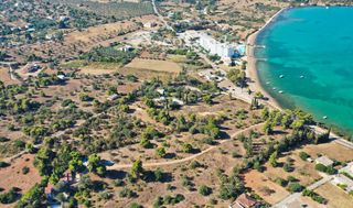 Οικόπεδο 10.000 τ.μ. προς πώληση, Πορτοχέλι-thumb-16