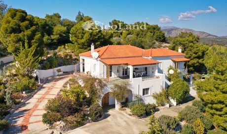 Μονοκατοικία 260τ.μ. για πώληση-Κρανίδι » Κέντρο