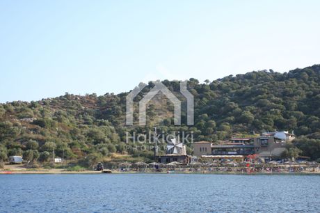 Αγροτεμάχια 8.200τ.μ. για πώληση-Παναγιά » Κέντρο
