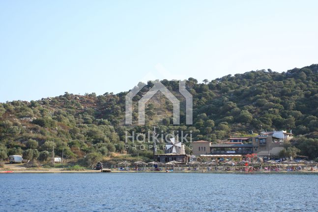 Αγροτεμάχια 8.200 τ.μ. για πώληση, Χαλκιδική, Παναγιά