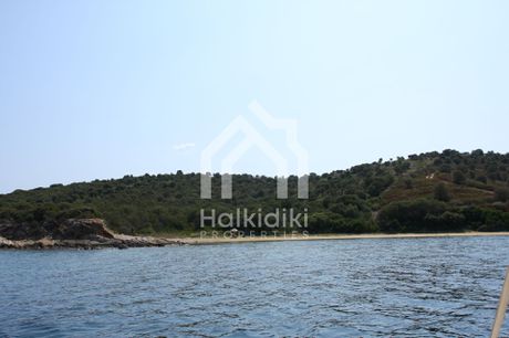 Αγροτεμάχια 14.521τ.μ. για πώληση-Παναγιά » Κέντρο