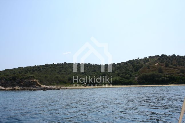 Αγροτεμάχια 14.521 τ.μ. για πώληση, Χαλκιδική, Παναγιά