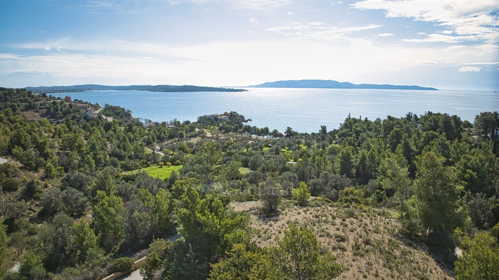 Οικόπεδο 441 τ.μ. πρός πώληση, Αργολίδα, Κρανίδι