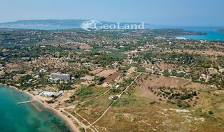 Αγροτεμάχια 11.400 τ.μ. πρός πώληση, Αργολίδα, Κρανίδι-thumb-10