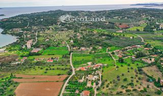 Αγροτεμάχια 11.400 τ.μ. πρός πώληση, Αργολίδα, Κρανίδι-thumb-7