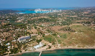 Αγροτεμάχια 11.400 τ.μ. πρός πώληση, Αργολίδα, Κρανίδι-thumb-12