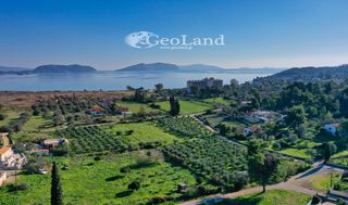 Αγροτεμάχια 11.400 τ.μ. πρός πώληση, Αργολίδα, Κρανίδι-thumb-14