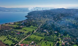 Αγροτεμάχια 11.400 τ.μ. πρός πώληση, Αργολίδα, Κρανίδι-thumb-18