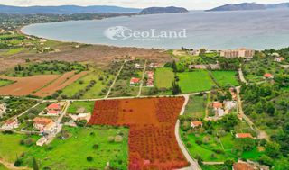 Αγροτεμάχια 11.400 τ.μ. πρός πώληση, Αργολίδα, Κρανίδι-thumb-5
