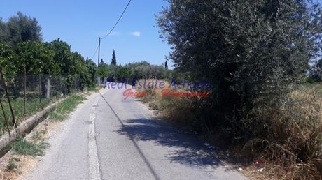 Οικόπεδο 5.000τ.μ. για πώληση-Αίγιο » Τέμενη