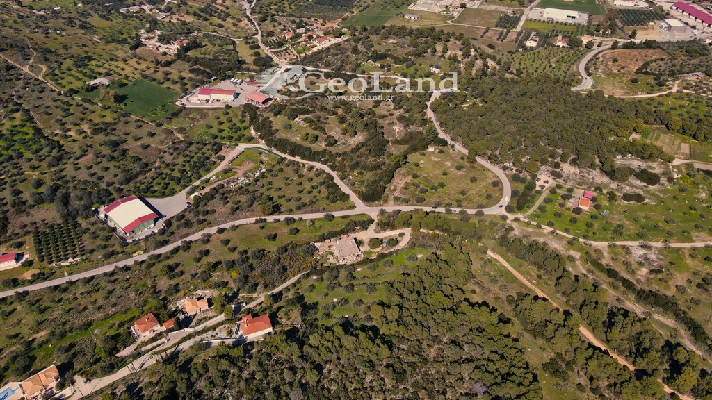 Αγροτεμάχια 4.490 τ.μ. προς πώληση, Αργολίδα, Κρανίδι