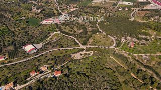 Αγροτεμάχια 4.490 τ.μ. πρός πώληση, Αργολίδα, Κρανίδι-thumb-3