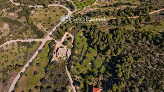 Αγροτεμάχια 4.490 τ.μ. πρός πώληση, Αργολίδα, Κρανίδι-thumb-16