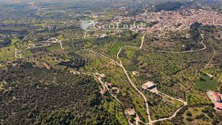 Αγροτεμάχια 4.490 τ.μ. για πώληση