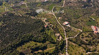 Αγροτεμάχια 4.490 τ.μ. πρός πώληση, Αργολίδα, Κρανίδι-thumb-9