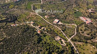Αγροτεμάχια 4.490 τ.μ. πρός πώληση, Αργολίδα, Κρανίδι-thumb-6