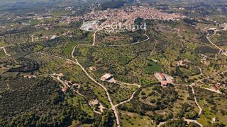Αγροτεμάχια 4.490 τ.μ. πρός πώληση, Αργολίδα, Κρανίδι-thumb-11