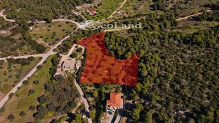 Αγροτεμάχια 4.490 τ.μ. πρός πώληση, Αργολίδα, Κρανίδι-thumb-13
