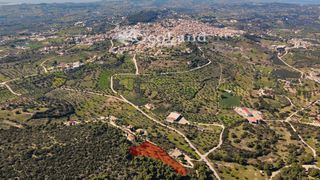 Αγροτεμάχια 4.490 τ.μ. πρός πώληση, Αργολίδα, Κρανίδι-thumb-10