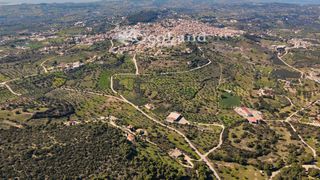 Αγροτεμάχια 4.490 τ.μ. πρός πώληση, Αργολίδα, Κρανίδι-thumb-7