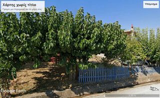 Οικόπεδο 645 τ.μ. για πώληση, Αχαΐα, Ρίο-thumb-6