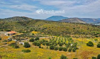 Studio / γκαρσονιέρα 54 τ.μ. για πώληση, Αργολίδα, Ερμιόνη-thumb-11