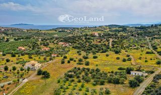 Studio / γκαρσονιέρα 54 τ.μ. για πώληση, Αργολίδα, Ερμιόνη-thumb-16