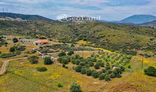 Studio / γκαρσονιέρα 54 τ.μ. για πώληση, Αργολίδα, Ερμιόνη-thumb-12
