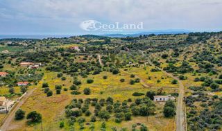 Studio / γκαρσονιέρα 54 τ.μ. για πώληση, Αργολίδα, Ερμιόνη-thumb-15