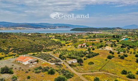 Studio / γκαρσονιέρα 54 τ.μ. για πώληση