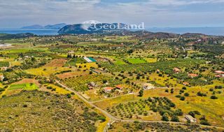 Studio / γκαρσονιέρα 54 τ.μ. για πώληση, Αργολίδα, Ερμιόνη-thumb-24