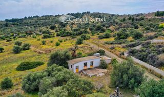 Studio / γκαρσονιέρα 54 τ.μ. για πώληση, Αργολίδα, Ερμιόνη-thumb-9
