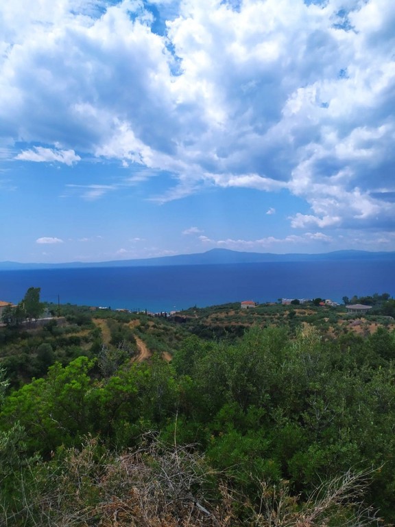 Οικόπεδο 42.264 τ.μ. πρός πώληση, Μεσσηνία, Αβία